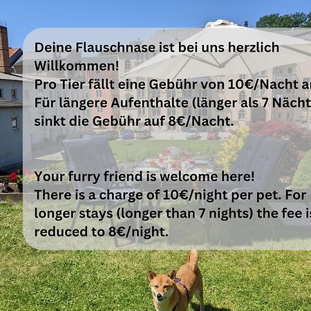 Apartmán Zi2 - Urlaubsmagie - Whirlpool, Sauna Und Garten Sebnitz Exteriér fotografie