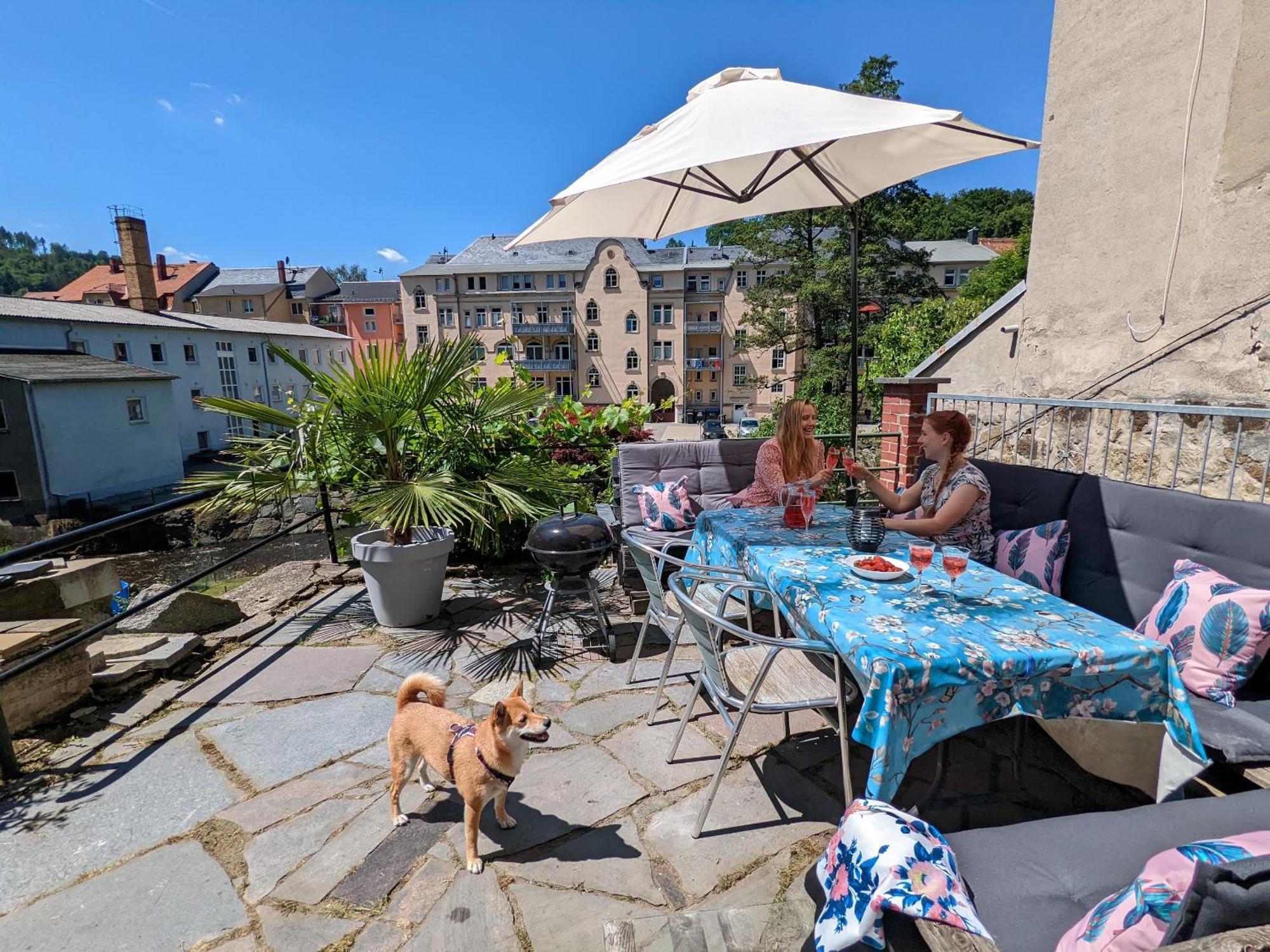 Apartmán Zi2 - Urlaubsmagie - Whirlpool, Sauna Und Garten Sebnitz Exteriér fotografie