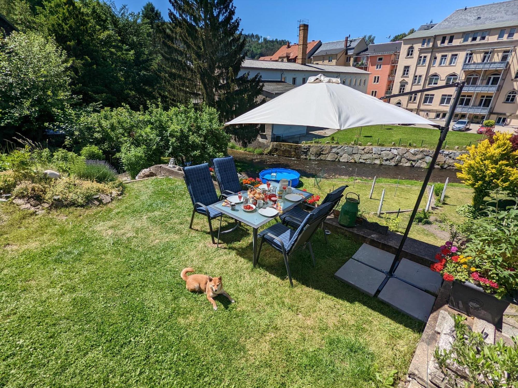 Apartmán Zi2 - Urlaubsmagie - Whirlpool, Sauna Und Garten Sebnitz Exteriér fotografie