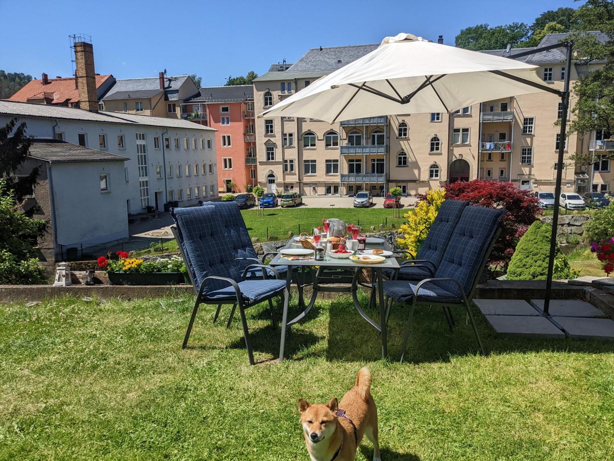 Apartmán Zi2 - Urlaubsmagie - Whirlpool, Sauna Und Garten Sebnitz Exteriér fotografie