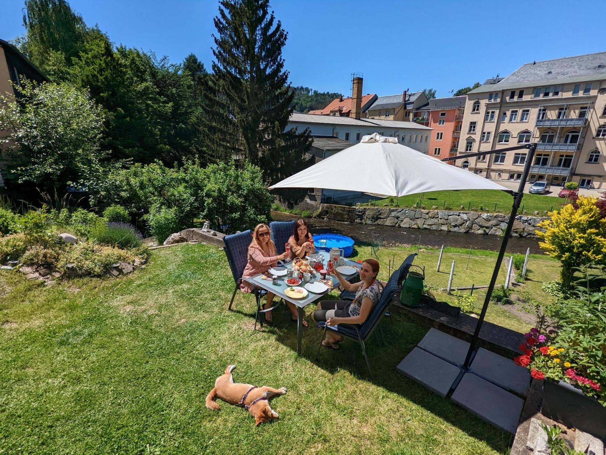 Apartmán Zi2 - Urlaubsmagie - Whirlpool, Sauna Und Garten Sebnitz Exteriér fotografie